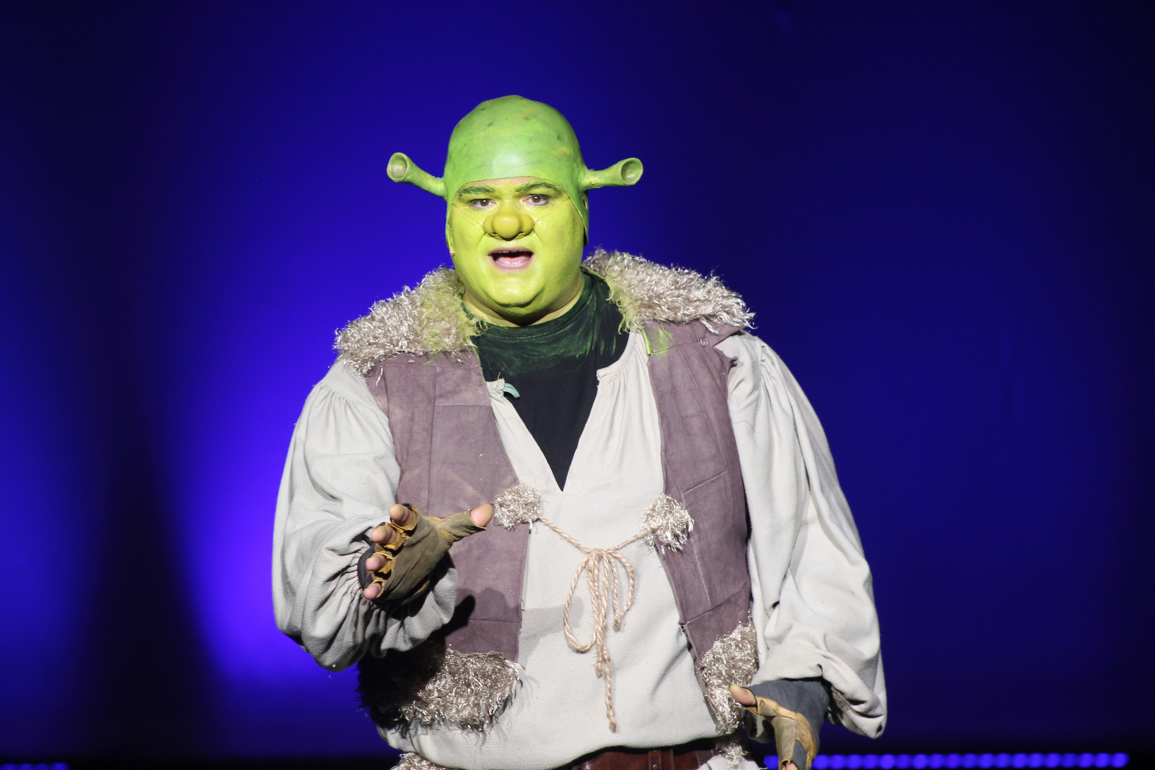 Shrek the Musical 2025 production photo